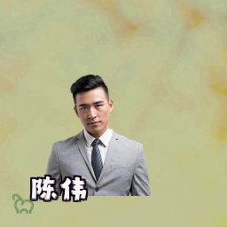 陈伟