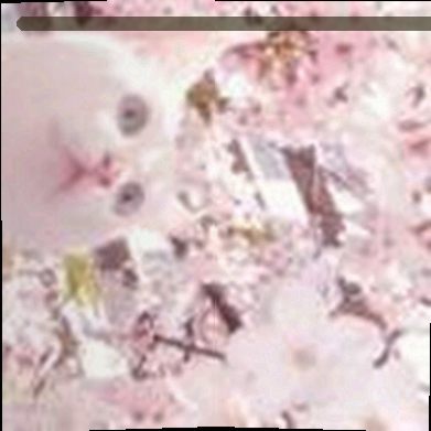 刘刚